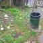 919590-0-full.jpeg
