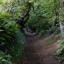 path-to-hob-hey.jpg