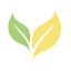 heal-earth-allaince-2.png