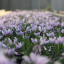 img-4366.jpg