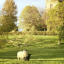 studley-church.jpg