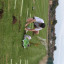 img-1035.jpg
