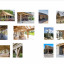 ctc-new-clubhouse-oak-frame-design-examples.jpeg