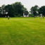 cricket-10.jpg