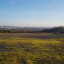 20201129-144421.jpg
