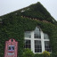 img-6924.jpg