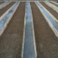 img-0214.jpg