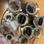 img-7716.jpeg