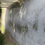 img-7731.jpeg