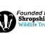 founded-by-swt-logo-colour-002.png