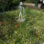fountain-man-august-17.jpg