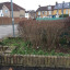 planter-at-carpark.jpg