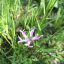 img-1810.jpg