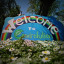 sign-daisies.jpg