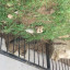 rocks-dumped.jpg