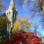 st-a-autumn-acer-on-the-edge-of-memorial-garden.jpg