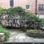 peace-garden-7.jpg