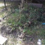 20140804-144444.jpg