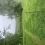 img-7461.jpg