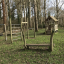 image-67533313.jpg