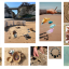 flints-sea-based-learning.png