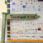 283003114-5142474039180451-2120653563706583248-n.jpeg
