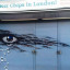 my-dog-sighs-c-lionel-stanhope-1.jpg