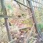 img-20200112-090555.jpg