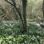 img-1044.jpg