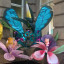 img-20170617-133824.jpg