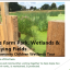 fo-ff-wetlands-tour-children.png