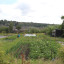 img-0908.jpg