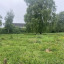 img-7467.jpg