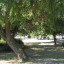 img-3523-lr.jpg