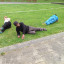 img-3518.jpg