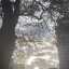 look-up.jpg
