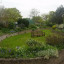 april-2017-side-garden.jpg