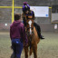 chester-dressage.jpg