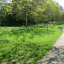 dscf-1649.jpg