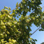 20190825-144512.jpg