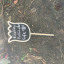 img-6341.jpg