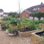 Growing_in_the_City_25Aug2014.jpg