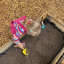 img-3863.jpg