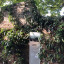 ealing-wall.jpg
