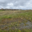 hole-1.jpg