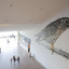 dzia-falcon-1.jpg