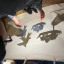 img-4714.jpeg