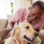 optimized-shutterstock-755581873.jpg