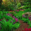 woodlandgarden3.jpg