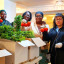 volunteers-sorting-out-fruits-and-vegetables.jpg